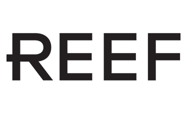 reef-2 copy